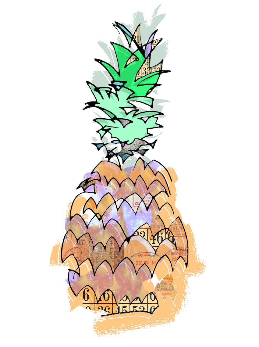 pineapple drawing illustration